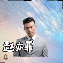 赵亦菲